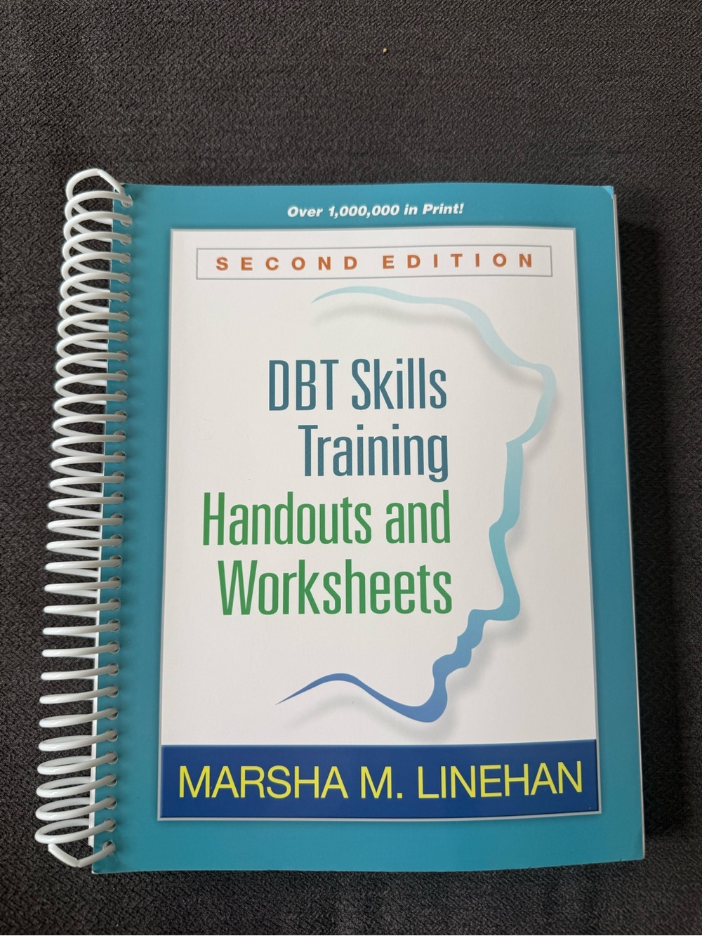 DBT Skills Training Handouts and Worksheets by Marsha M. Linehan